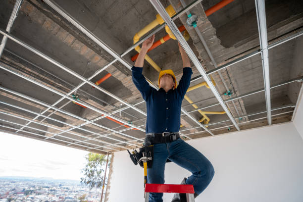 Best Sewer Line Repair  in Sugar City, ID